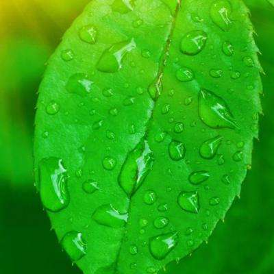 必博手机网页版